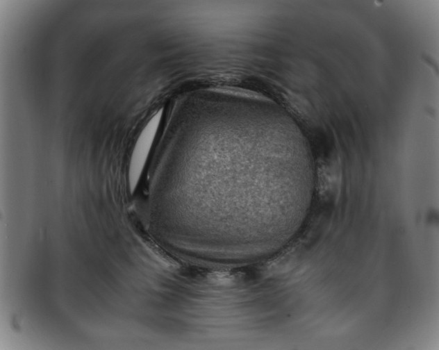 X0000097460613200803071633