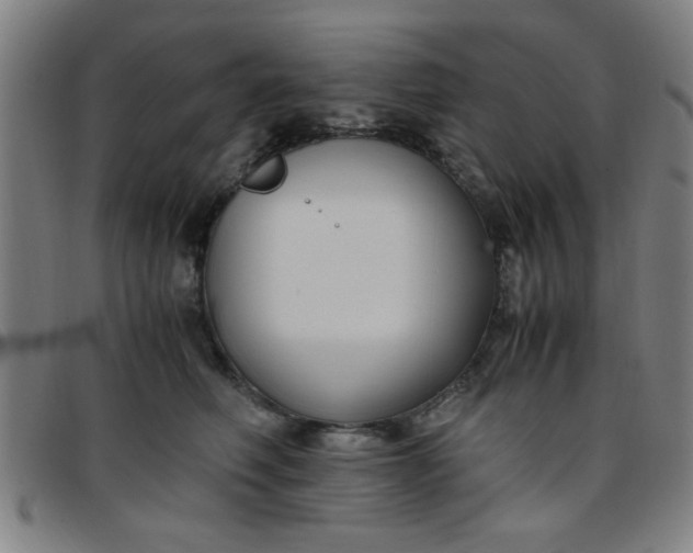 X0000097460614200803071633