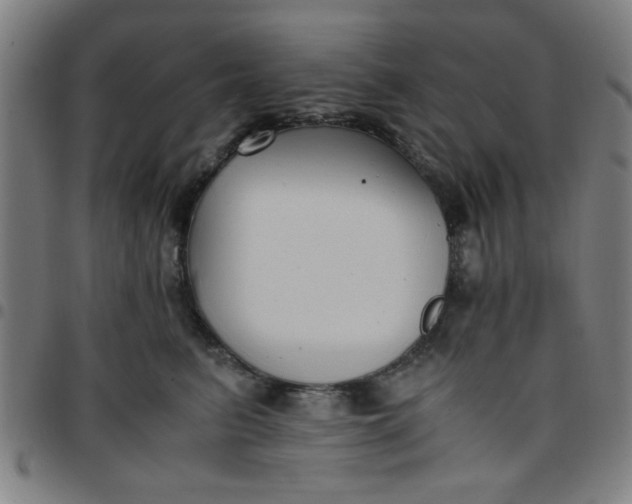 X0000097460615200803071633