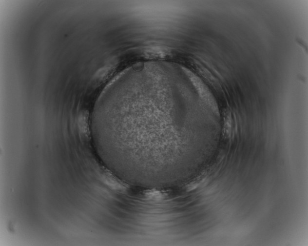 X0000097460616200803071633