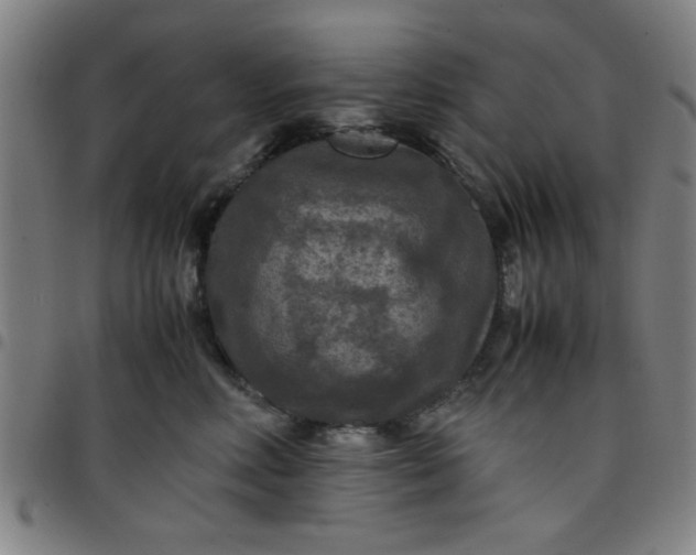 X0000097460618200803071632