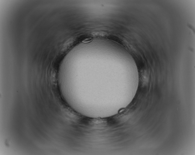 X0000097460619200803071632