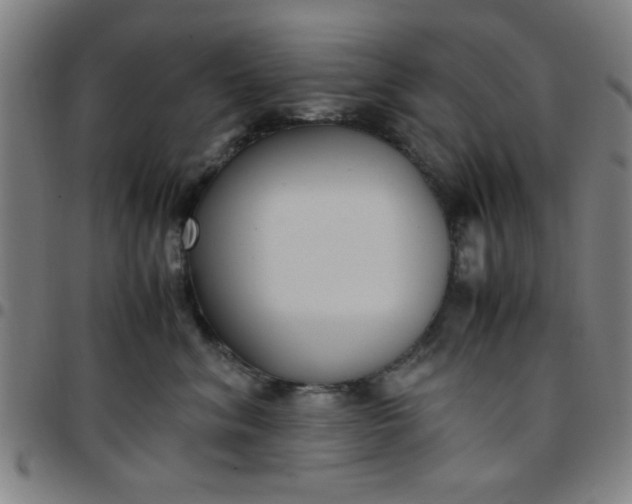 X0000097460620200803071632