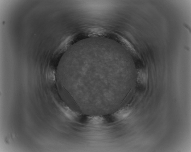 X0000097460621200803071632