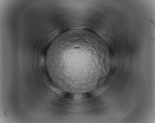 X0000097460623200803071632