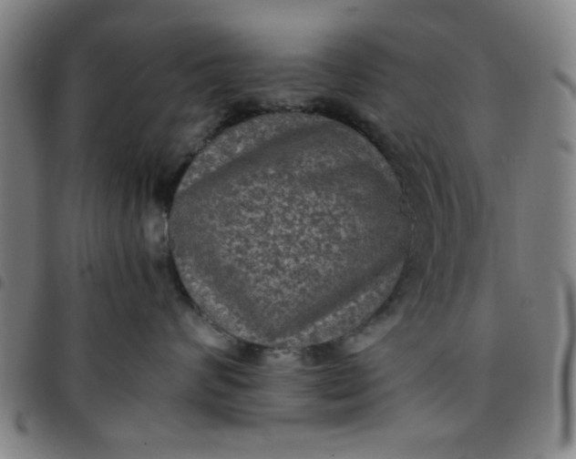 X0000097460624200803071632