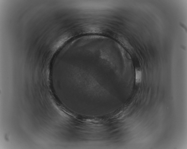 X0000097460627200803071632