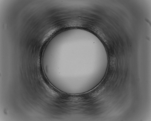 X0000097460629200803071632