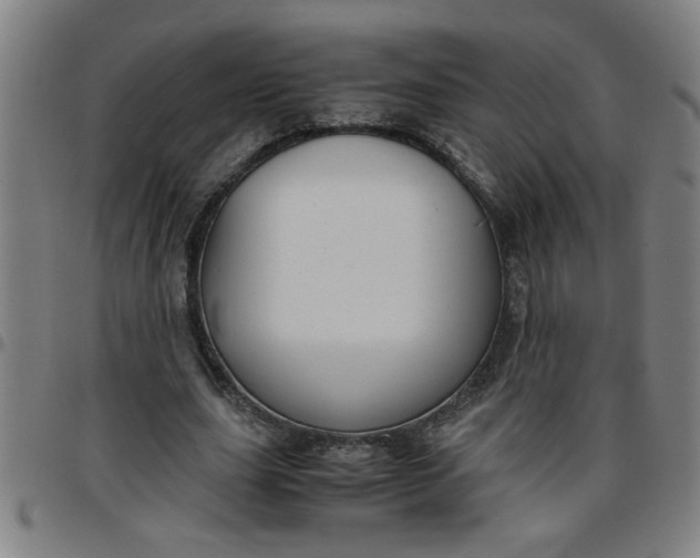 X0000097460631200803071632