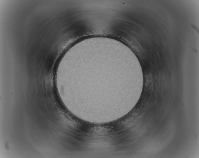 X0000097460632200803071632