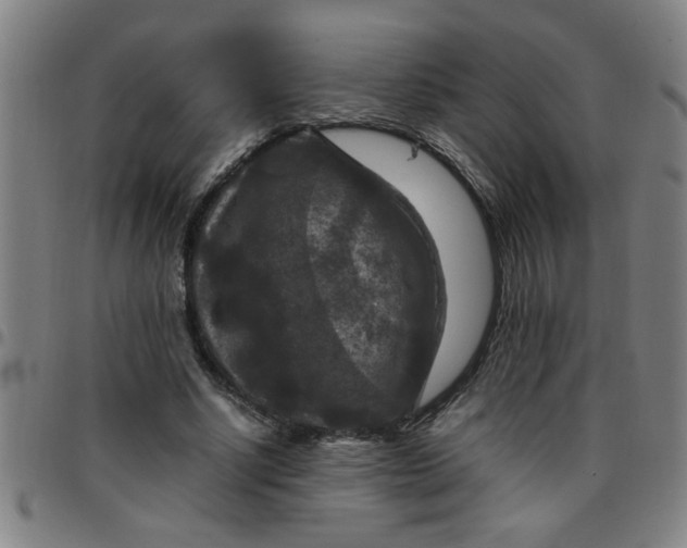 X0000097460634200803071632