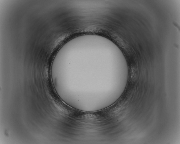 X0000097460636200803071632