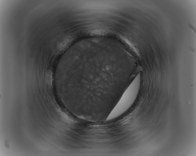 X0000097460637200803071632