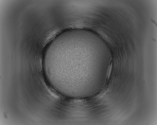 X0000097460638200803071632