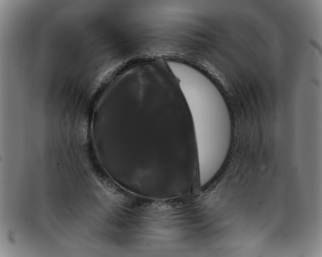 X0000097460640200803071632