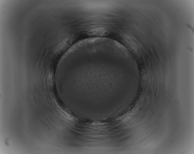 X0000097460641200803071632