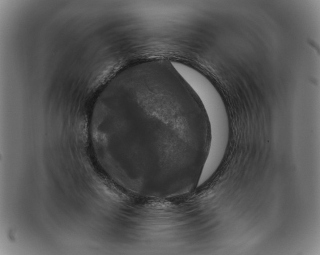 X0000097460642200803071632