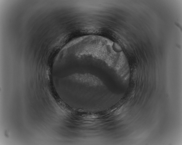 X0000097460643200803071632