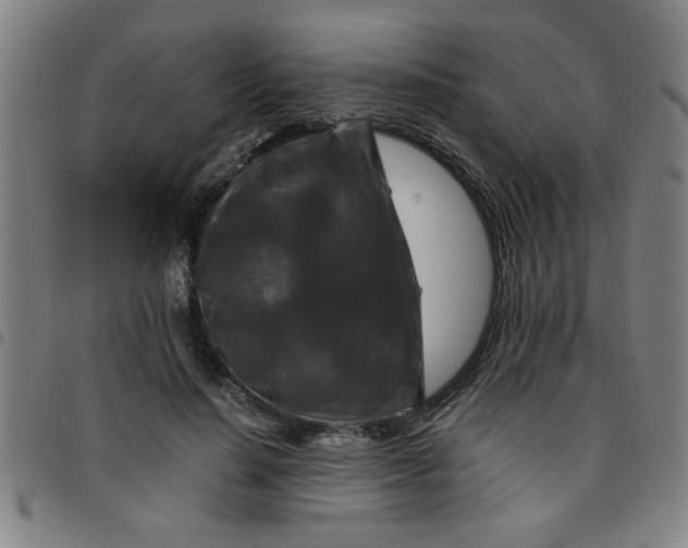 X0000097460644200803071632