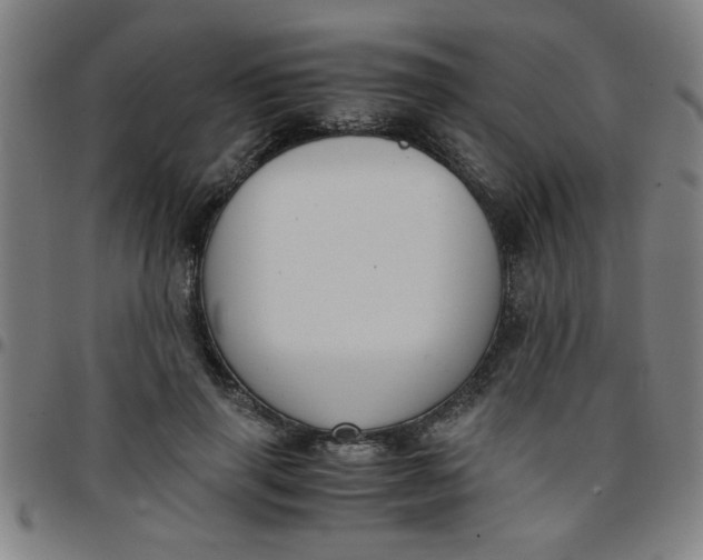 X0000097460645200803071632