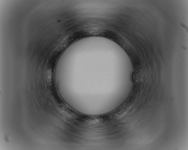 X0000097460646200803071632