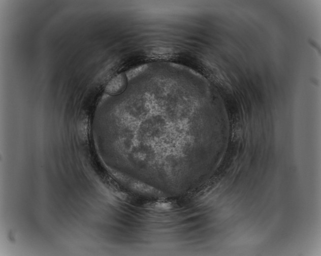 X0000097460647200803071632