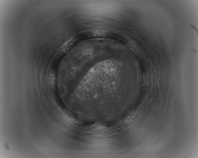 X0000097460648200803071632