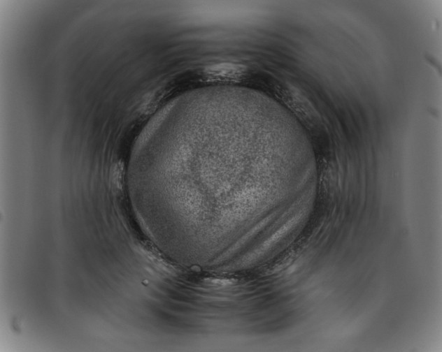 X0000097460649200803071632