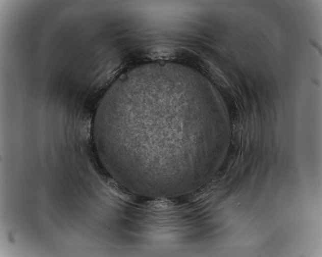 X0000097460652200803071632