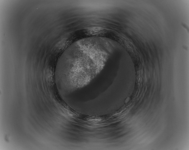 X0000097460653200803071632