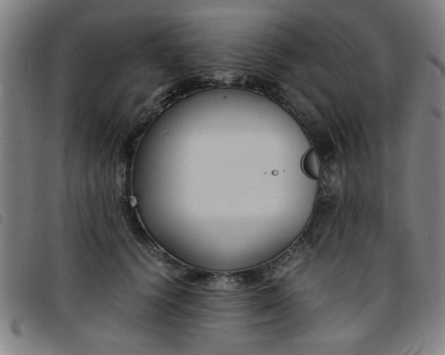 X0000097460656200803071632