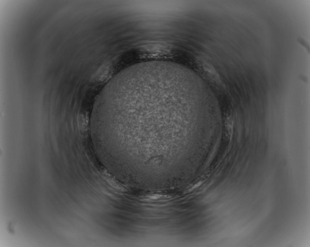 X0000097460657200803071632