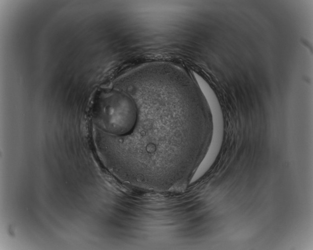 X0000097460658200803071632