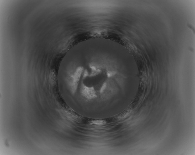 X0000097460659200803071632