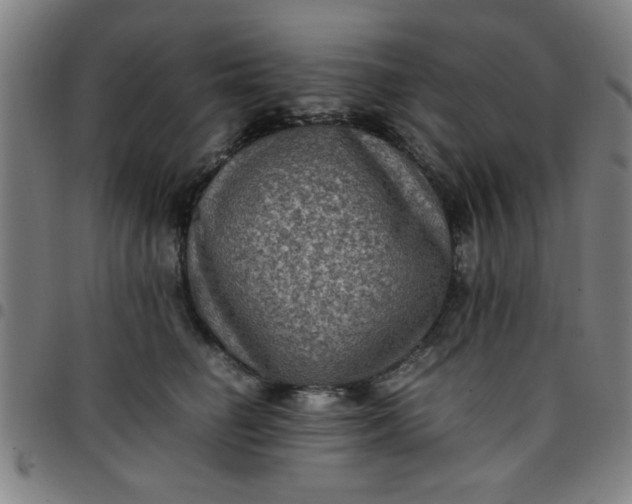 X0000097460662200803071632