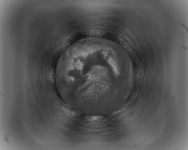 X0000097460663200803071632