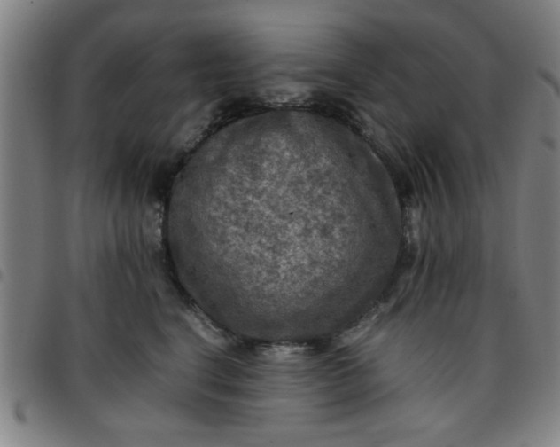 X0000097460664200803071632