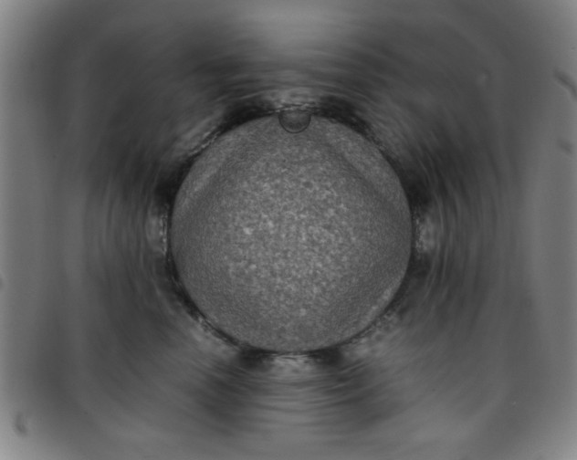 X0000097460666200803071632