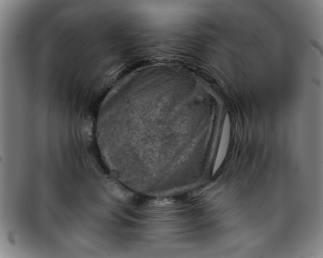 X0000097460668200803071632