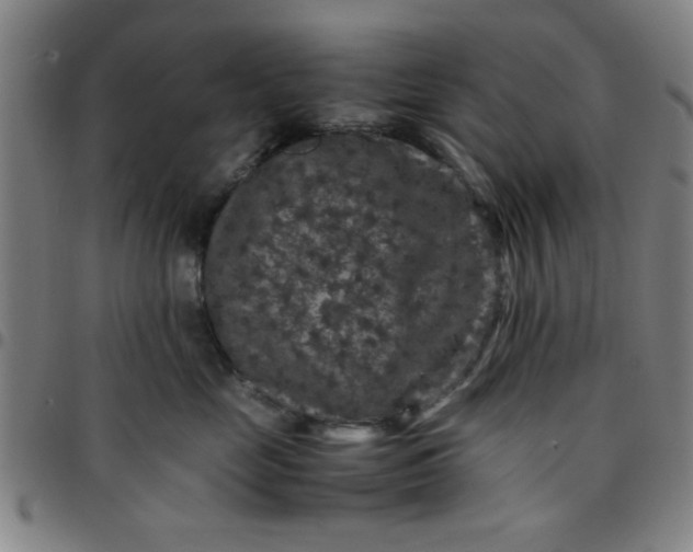 X0000097460669200803071632