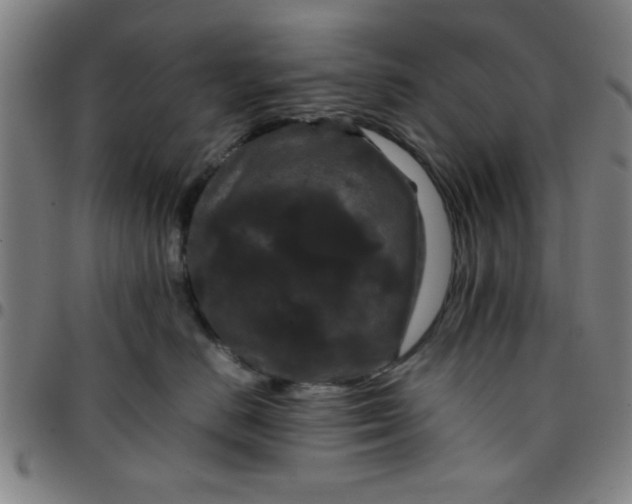 X0000097460670200803071632