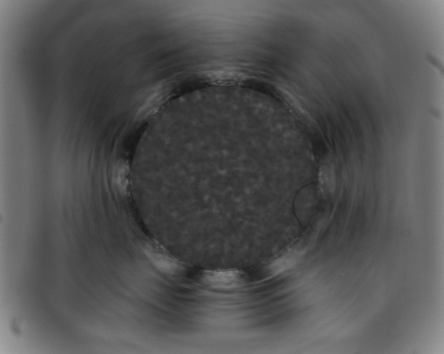 X0000097460671200803071632