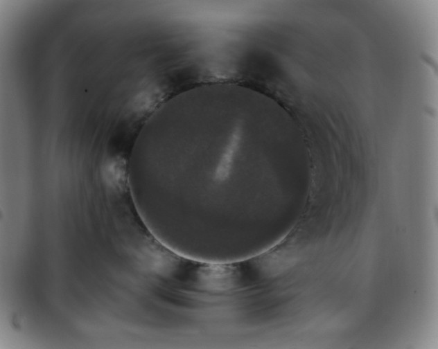 X0000097460672200803071632