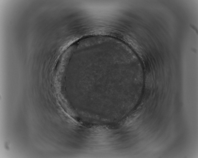 X0000097460673200803071632