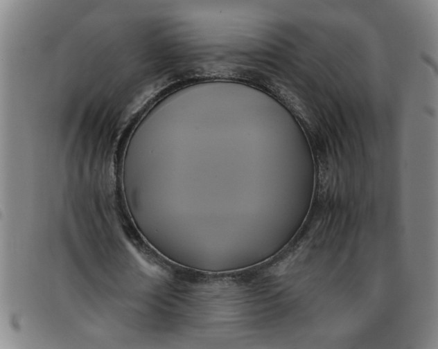 X0000097460674200803071632