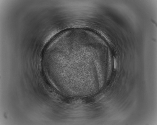 X0000097460675200803071632