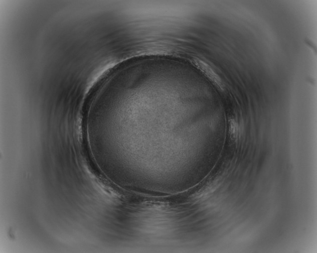 X0000097460676200803071632