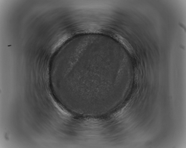 X0000097460677200803071632