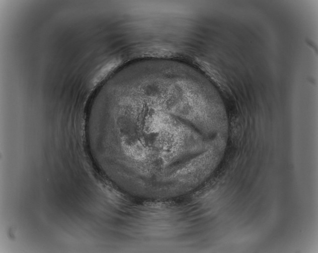 X0000097460679200803071632