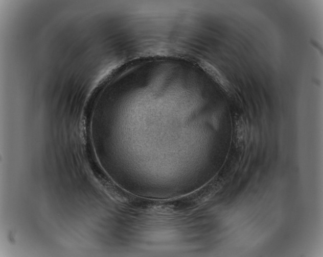 X0000097460680200803071632